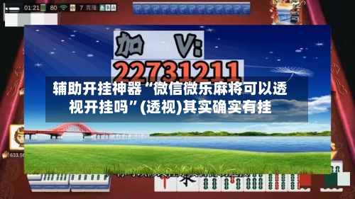 辅助开挂神器“微信微乐麻将可以透视开挂吗	”(透视)其实确实有挂-第3张图片