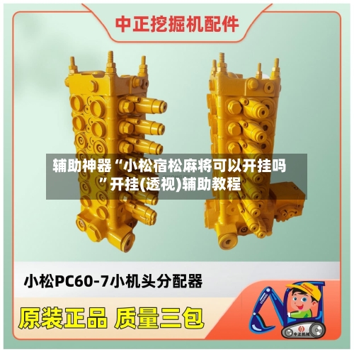 辅助神器“小松宿松麻将可以开挂吗	”开挂(透视)辅助教程-第1张图片