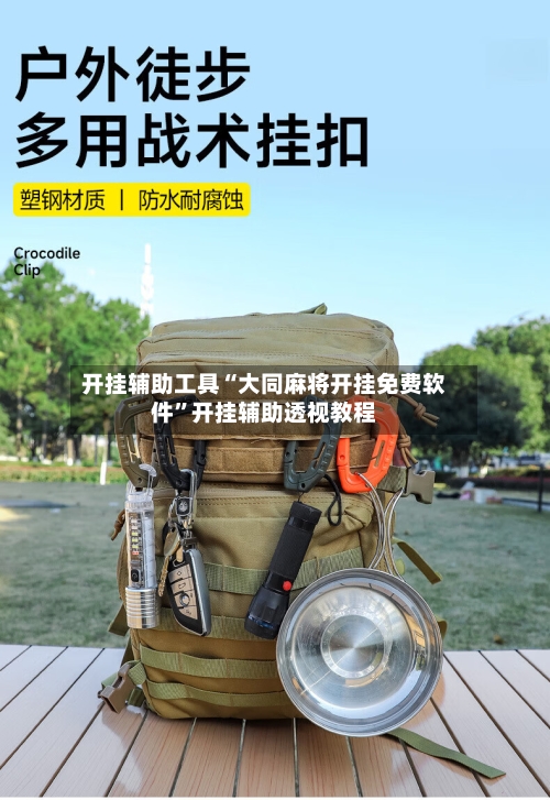 开挂辅助工具“大同麻将开挂免费软件”开挂辅助透视教程-第1张图片