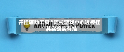 开挂辅助工具“阿拉游戏中心透视挂	”其实确实有挂-第2张图片