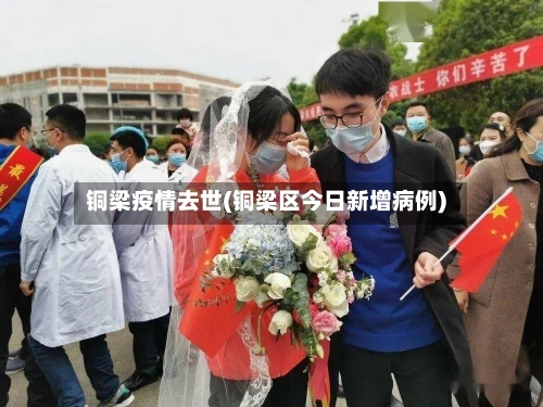 铜梁疫情去世(铜梁区今日新增病例)-第2张图片