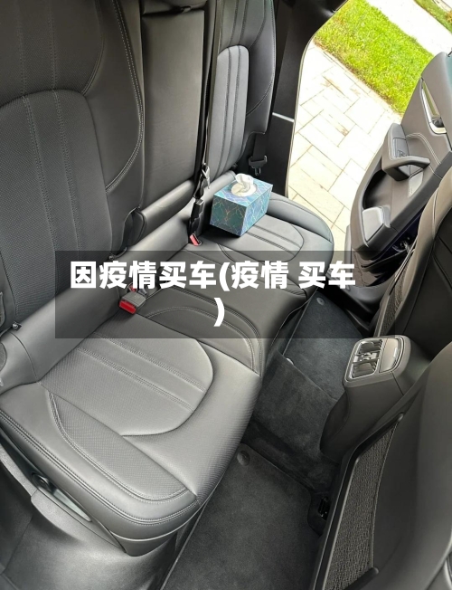 因疫情买车(疫情 买车)-第2张图片