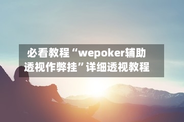 必看教程“wepoker辅助透视作弊挂	”详细透视教程-第3张图片