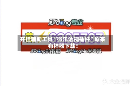 开挂辅助工具“微乐透视插件”原来有神器下载！-第3张图片