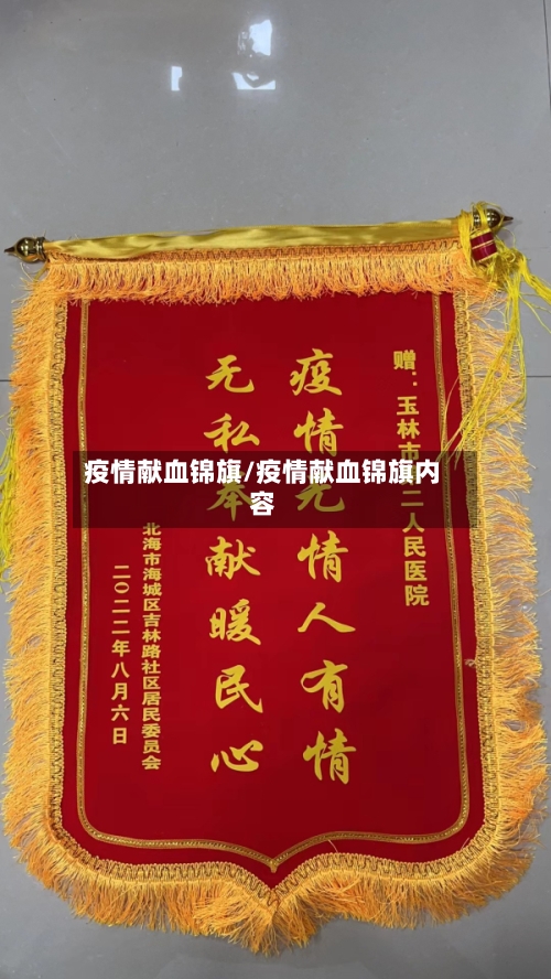 疫情献血锦旗/疫情献血锦旗内容-第1张图片