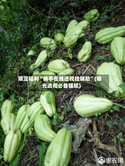 限定福利“佛手在线透视挂辅助”(曝光透视必备猫腻)-第1张图片