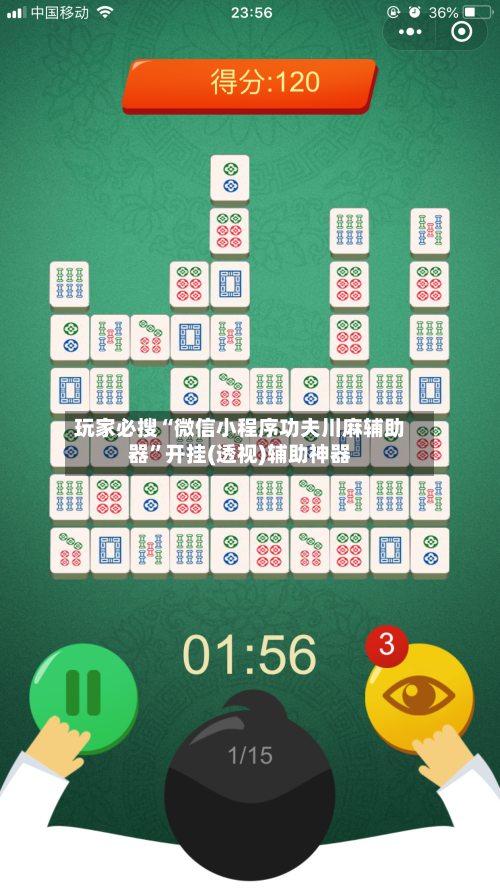 玩家必搜“微信小程序功夫川麻辅助器”开挂(透视)辅助神器-第3张图片