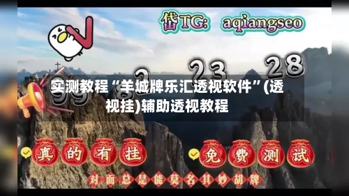 实测教程“羊城牌乐汇透视软件”(透视挂)辅助透视教程-第3张图片