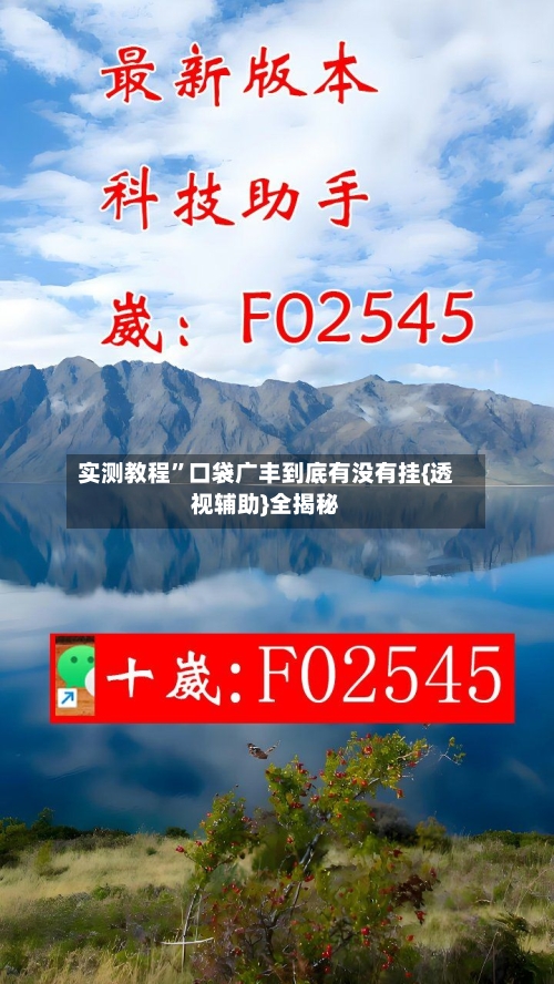 实测教程”口袋广丰到底有没有挂{透视辅助}全揭秘-第1张图片