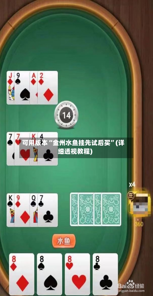 可用版本“金州水鱼挂先试后买”(详细透视教程)-第3张图片