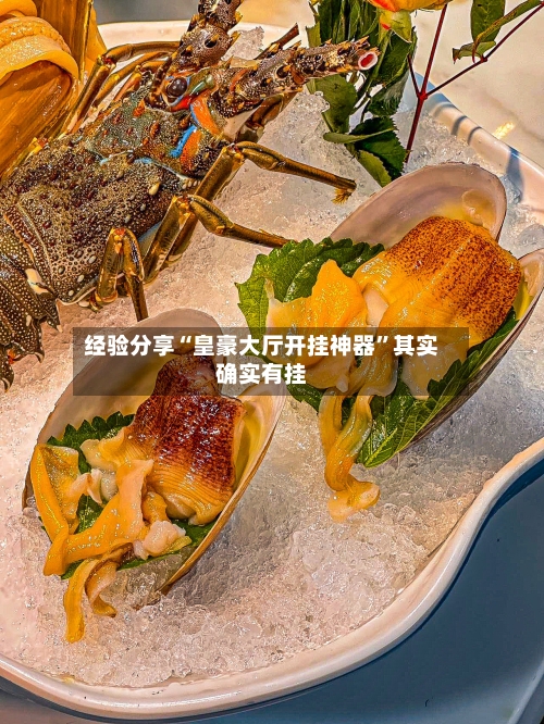 经验分享“皇豪大厅开挂神器”其实确实有挂-第3张图片