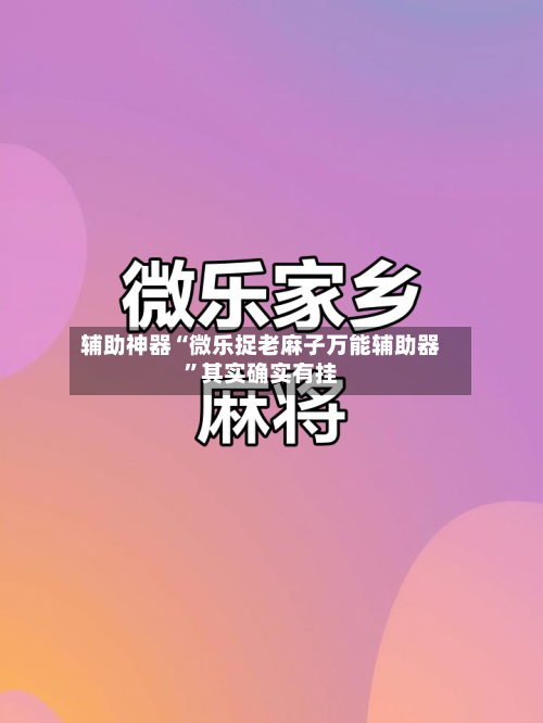 辅助神器“微乐捉老麻子万能辅助器	”其实确实有挂-第2张图片