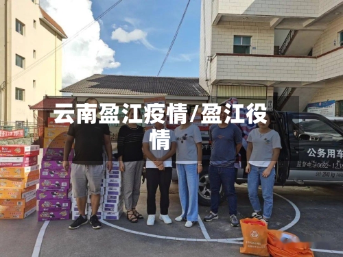 云南盈江疫情/盈江役情-第2张图片
