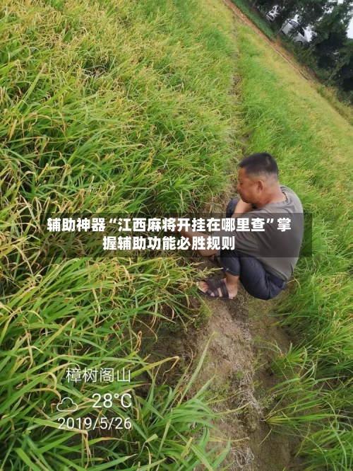 辅助神器“江西麻将开挂在哪里查”掌握辅助功能必胜规则-第1张图片