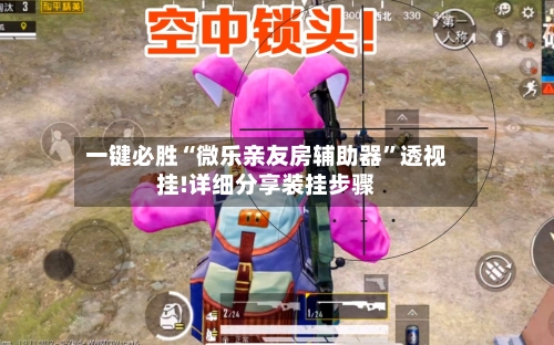 一键必胜“微乐亲友房辅助器”透视挂!详细分享装挂步骤-第3张图片