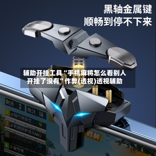 辅助开挂工具“手机麻将怎么看别人开挂了没有”作弊(透视)透视辅助-第2张图片