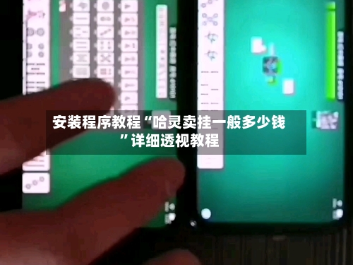 安装程序教程“哈灵卖挂一般多少钱	”详细透视教程-第2张图片