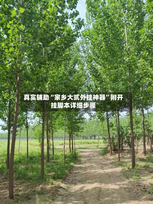 真实辅助“家乡大贰外挂神器”附开挂脚本详细步骤-第1张图片