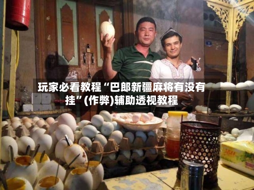 玩家必看教程“巴郎新疆麻将有没有挂”(作弊)辅助透视教程-第3张图片