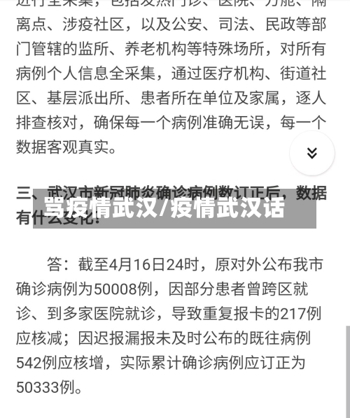 骂疫情武汉/疫情武汉话-第2张图片