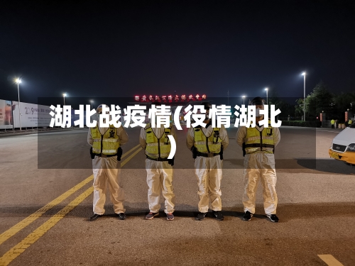 湖北战疫情(役情湖北)-第2张图片