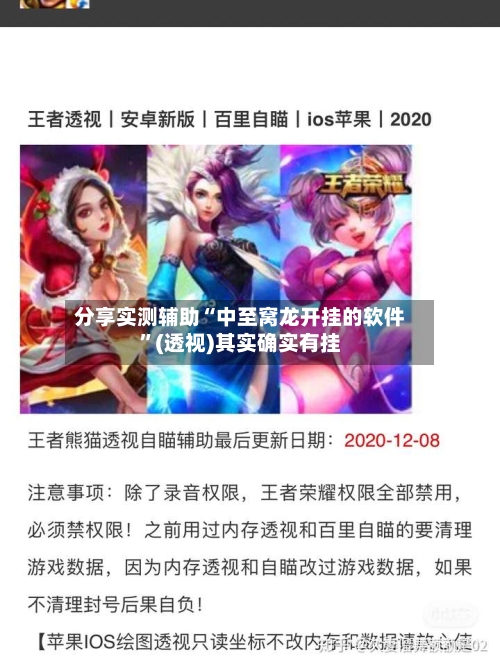 分享实测辅助“中至窝龙开挂的软件”(透视)其实确实有挂-第1张图片