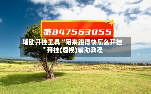 辅助开挂工具“闲来跑得快怎么开挂	”开挂(透视)辅助教程-第2张图片