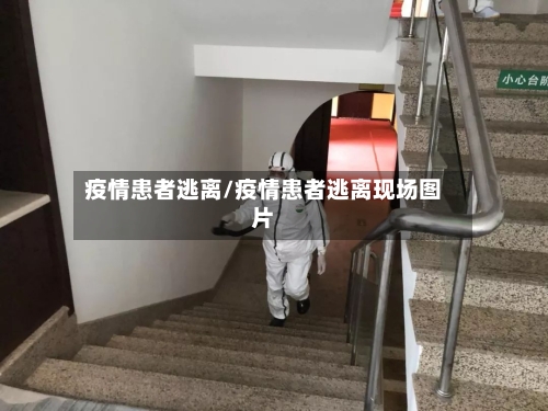 疫情患者逃离/疫情患者逃离现场图片-第1张图片