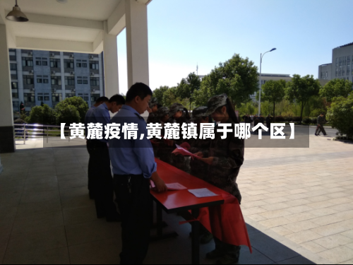 【黄麓疫情,黄麓镇属于哪个区】-第2张图片