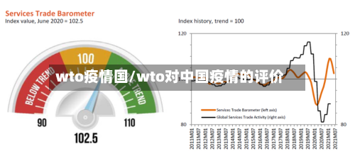 wto疫情国/wto对中国疫情的评价-第1张图片