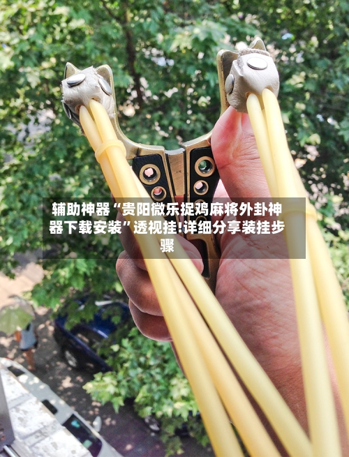 辅助神器“贵阳微乐捉鸡麻将外卦神器下载安装	”透视挂!详细分享装挂步骤-第1张图片