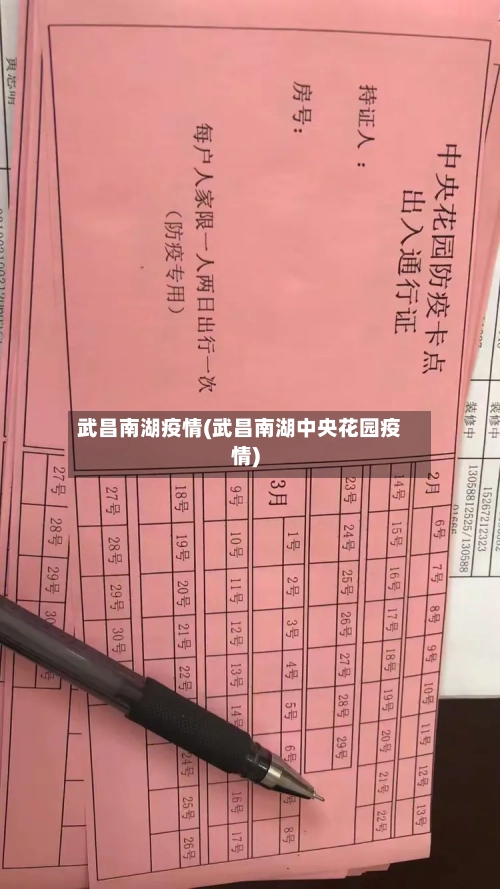 武昌南湖疫情(武昌南湖中央花园疫情)-第2张图片