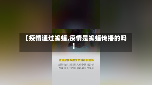 【疫情通过蝙蝠,疫情是蝙蝠传播的吗】-第3张图片
