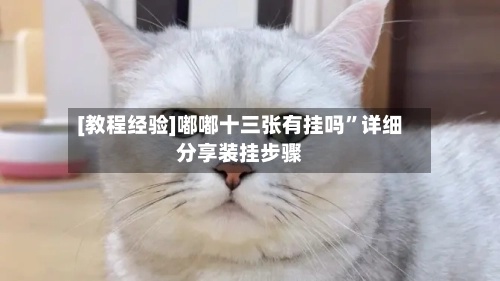 [教程经验]嘟嘟十三张有挂吗”详细分享装挂步骤-第2张图片