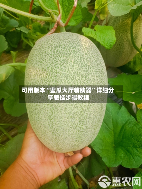 可用版本“蜜瓜大厅辅助器”详细分享装挂步骤教程-第1张图片