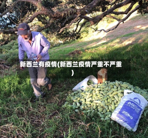 新西兰有疫情(新西兰疫情严重不严重)-第2张图片