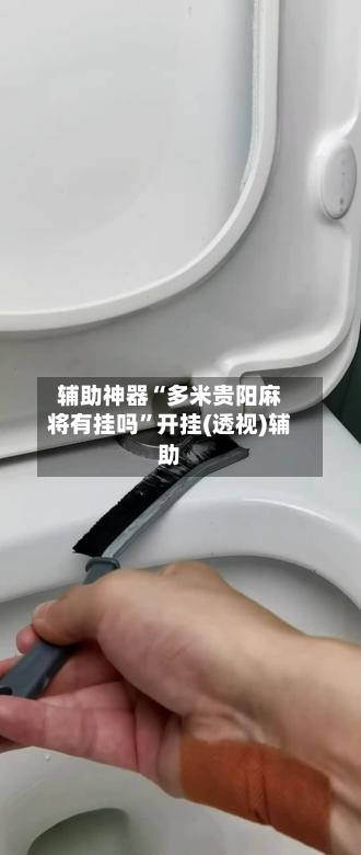 辅助神器“多米贵阳麻将有挂吗”开挂(透视)辅助-第2张图片