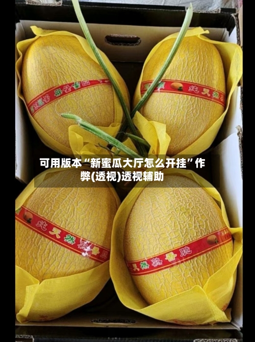 可用版本“新蜜瓜大厅怎么开挂”作弊(透视)透视辅助-第2张图片