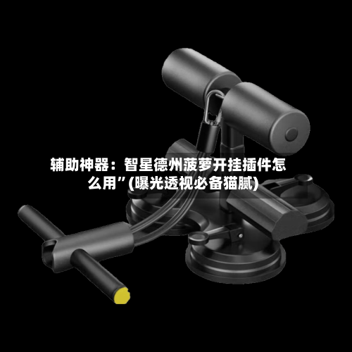 辅助神器：智星德州菠萝开挂插件怎么用	”(曝光透视必备猫腻)-第1张图片