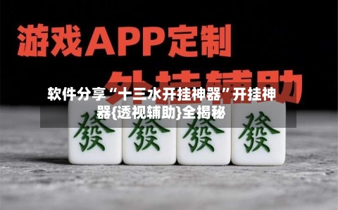 软件分享“十三水开挂神器”开挂神器{透视辅助}全揭秘-第2张图片