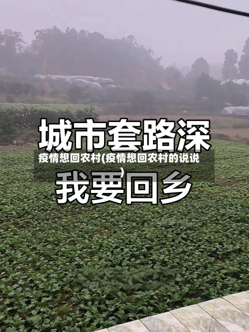 疫情想回农村(疫情想回农村的说说)-第3张图片