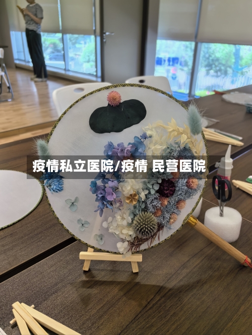 疫情私立医院/疫情 民营医院-第1张图片