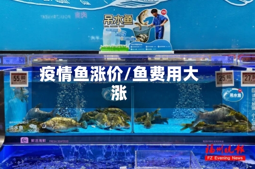 疫情鱼涨价/鱼费用大涨-第1张图片