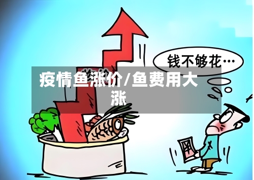 疫情鱼涨价/鱼费用大涨-第2张图片