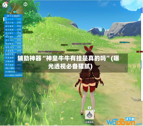 辅助神器“神皇牛牛有挂是真的吗”(曝光透视必备猫腻)-第3张图片