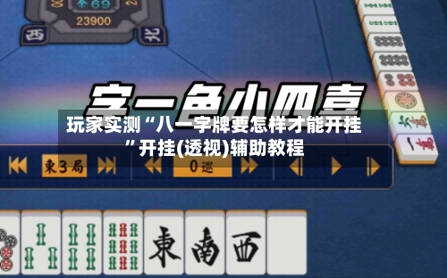 玩家实测“八一字牌要怎样才能开挂”开挂(透视)辅助教程-第1张图片