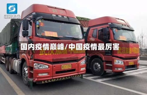 国内疫情巅峰/中国疫情最厉害-第1张图片
