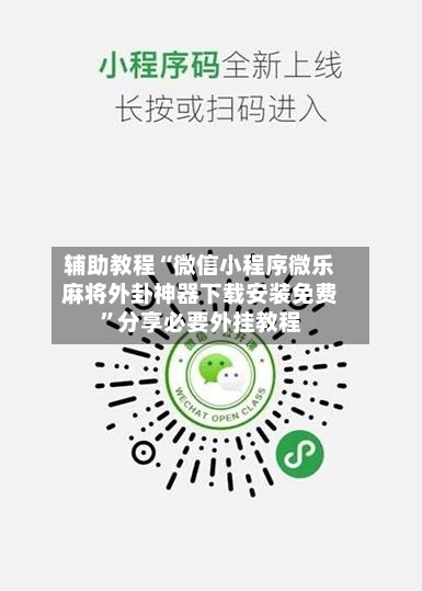 辅助教程“微信小程序微乐麻将外卦神器下载安装免费	”分享必要外挂教程-第3张图片