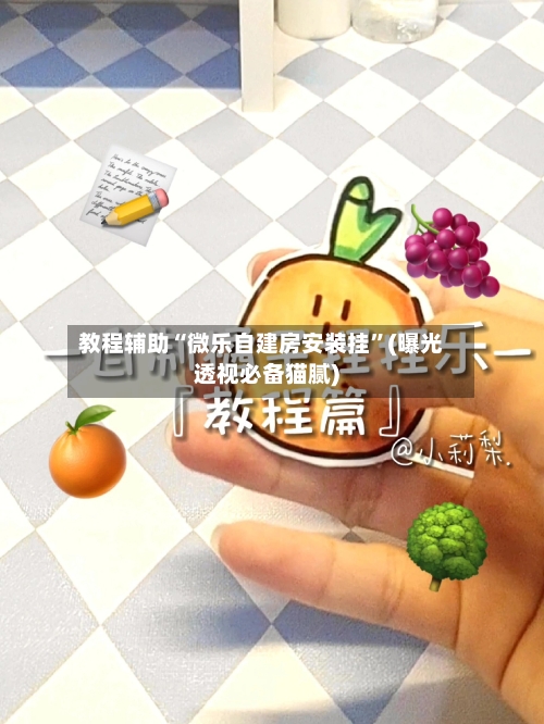 教程辅助“微乐自建房安装挂”(曝光透视必备猫腻)-第3张图片