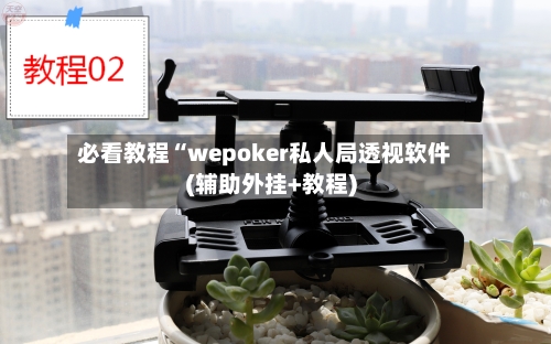 必看教程“wepoker私人局透视软件(辅助外挂+教程)-第2张图片